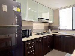 Central Green Condominium (D3), Condominium #421619271